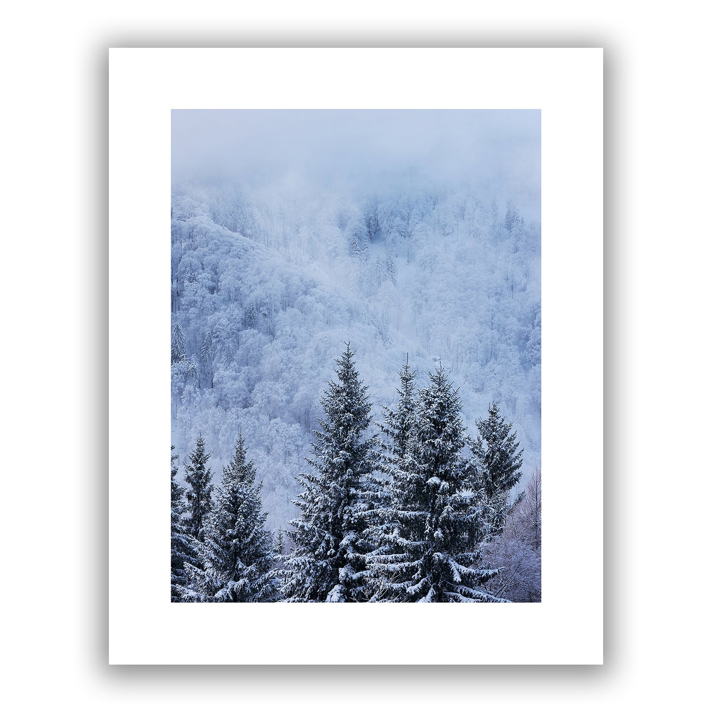 Blue Winter