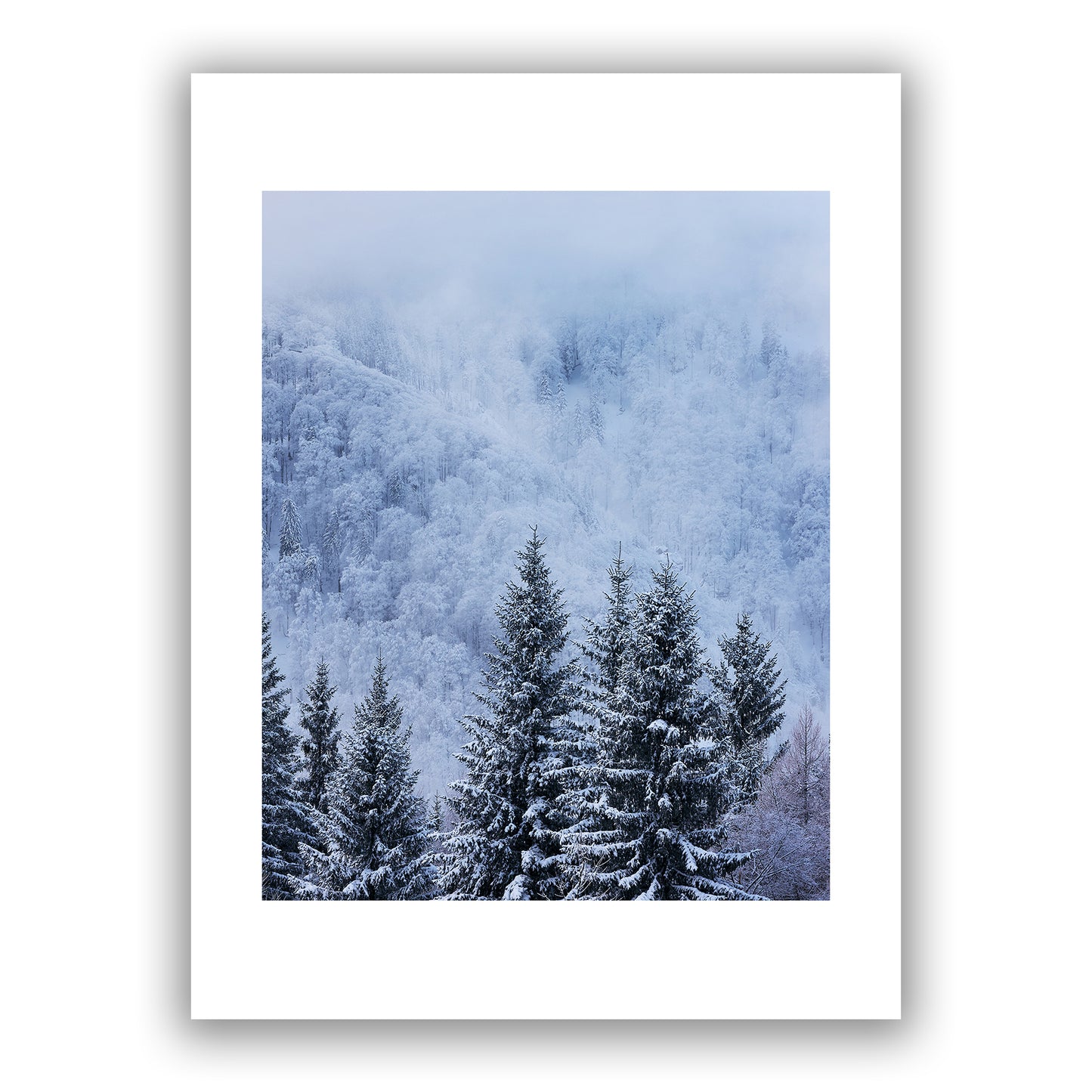 Blue Winter