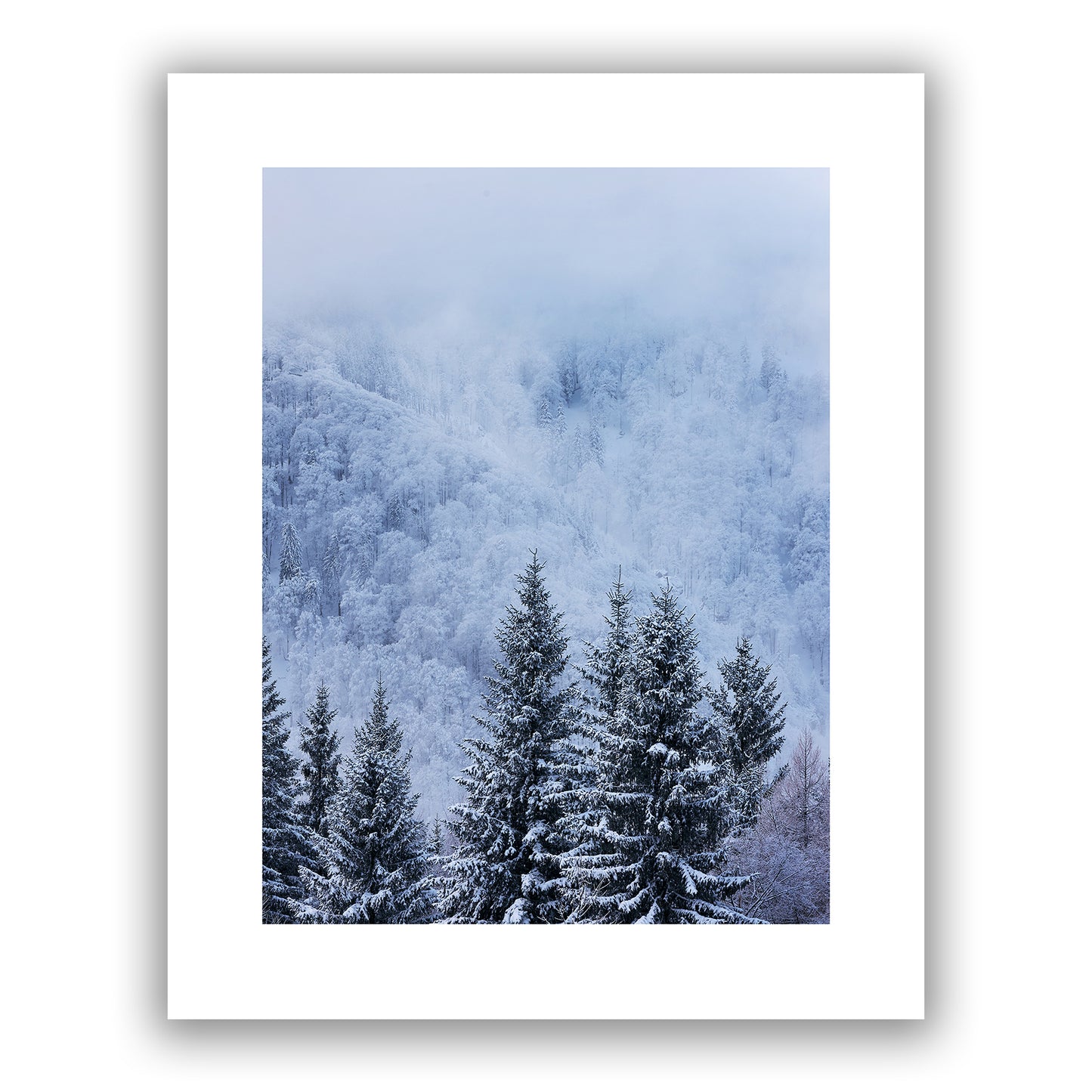 Blue Winter