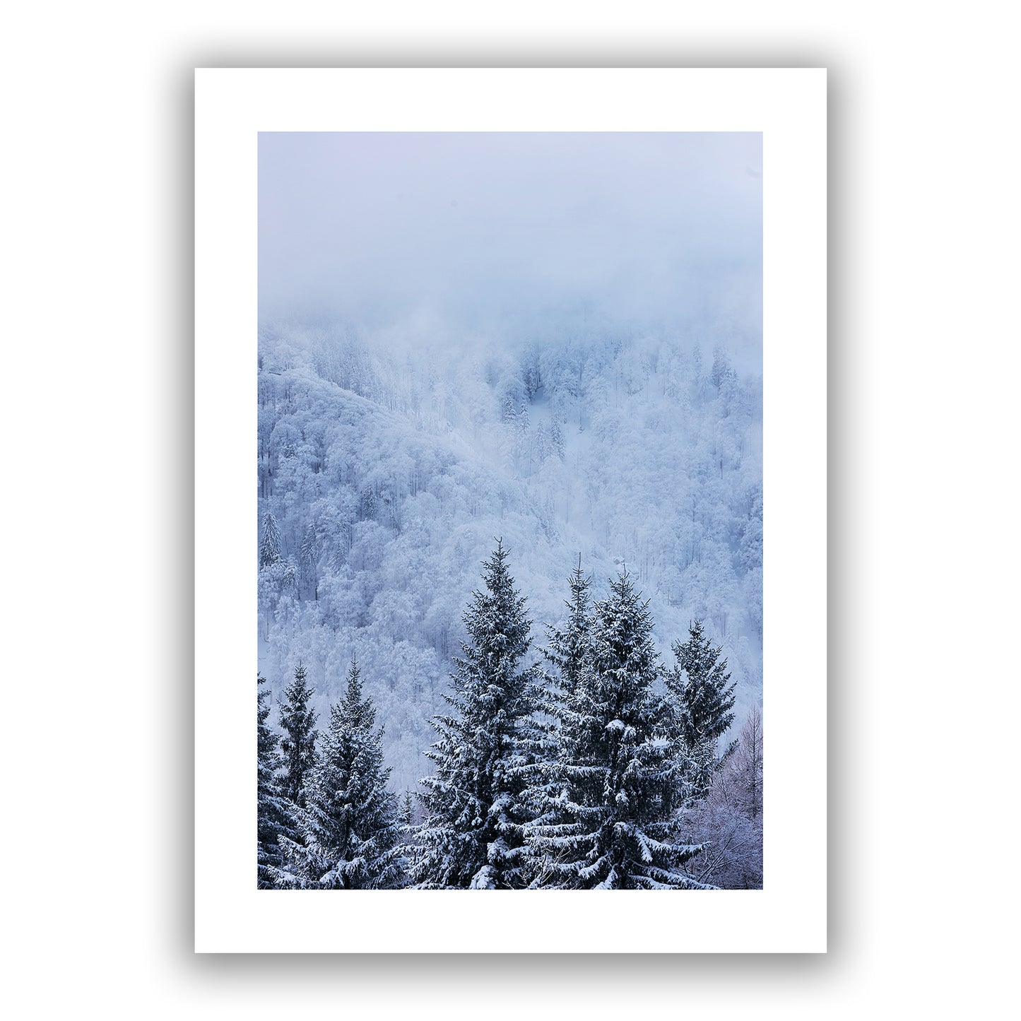Blue Winter