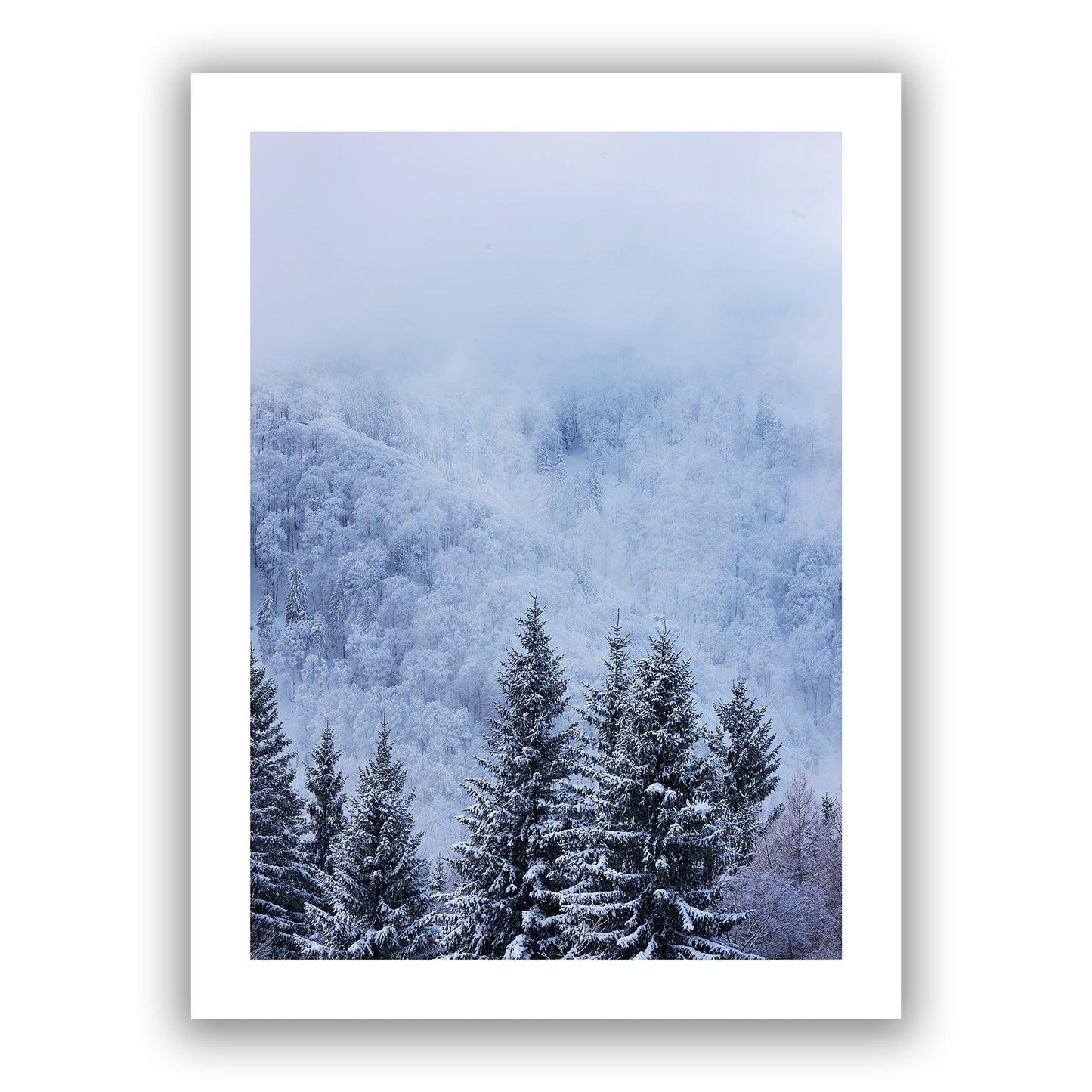 Blue Winter