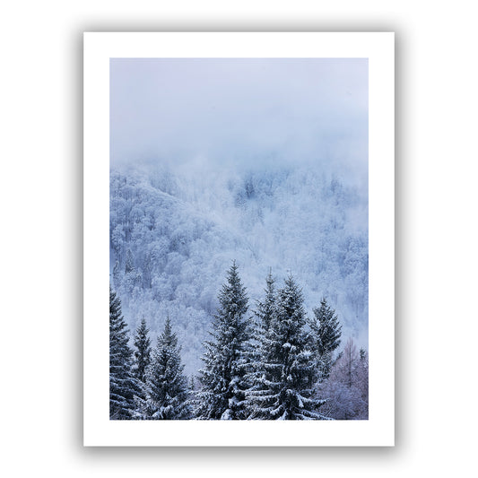 Blue Winter